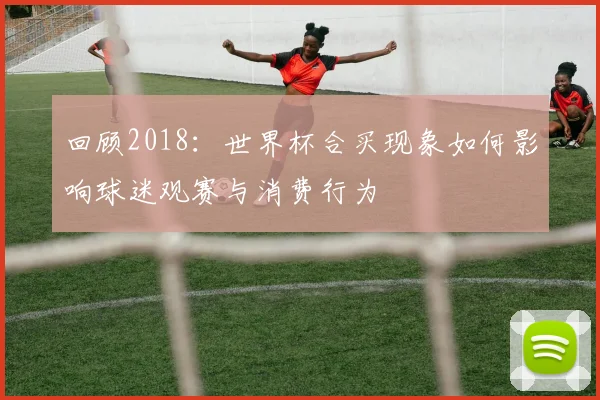 回顾2018：世界杯合买现象如何影响球迷观赛与消费行为