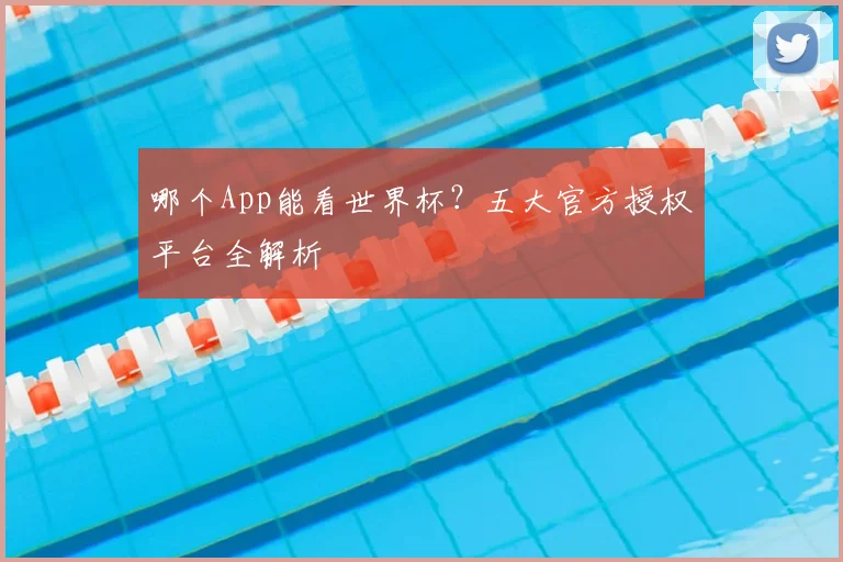 哪个App能看世界杯？五大官方授权平台全解析