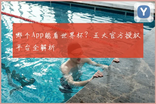 哪个App能看世界杯？五大官方授权平台全解析