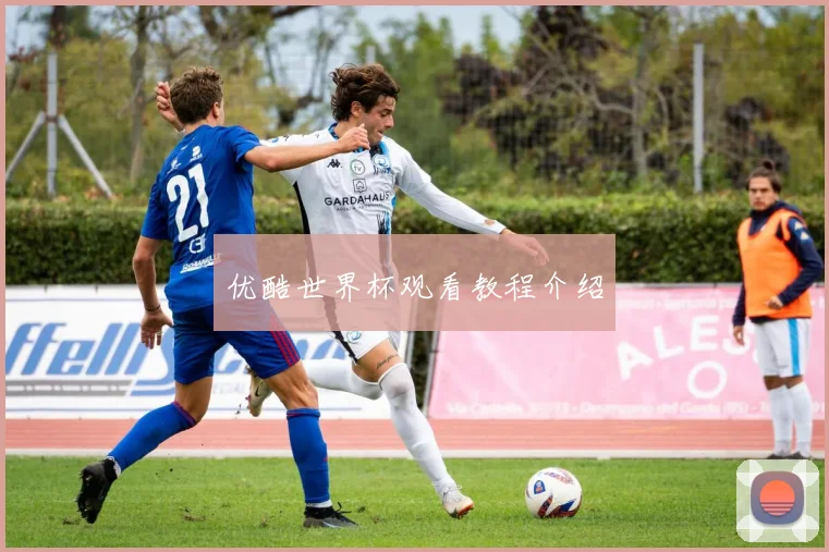 优酷世界杯观看教程介绍