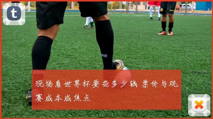 现场看世界杯要花多少钱 票价与观赛成本成焦点