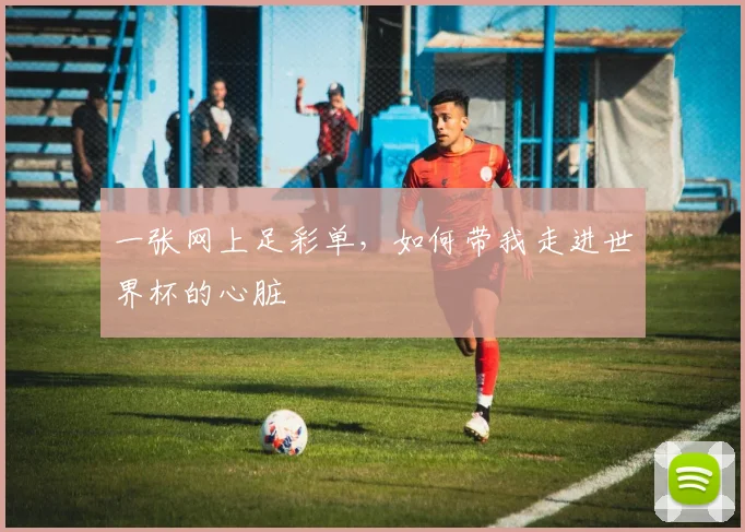 一张网上足彩单，如何带我走进世界杯的心脏