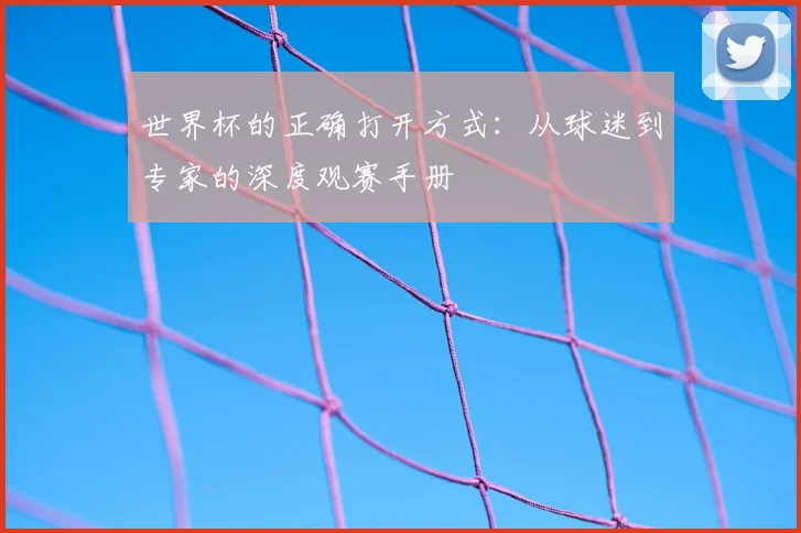 世界杯的正确打开方式:从球迷到专家的深度观赛手册