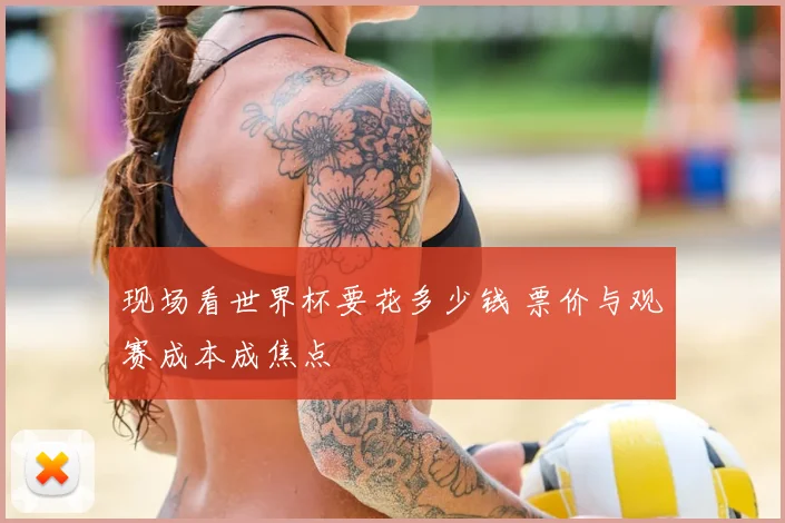 现场看世界杯要花多少钱 票价与观赛成本成焦点