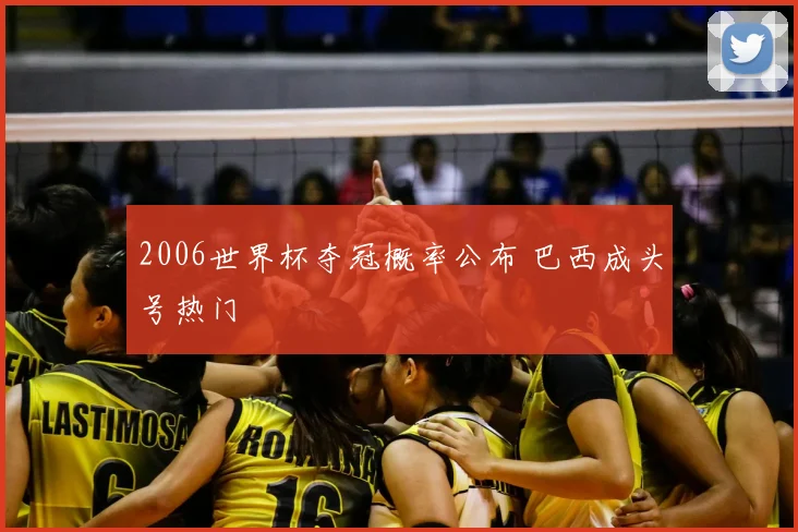 2006世界杯夺冠概率公布 巴西成头号热门