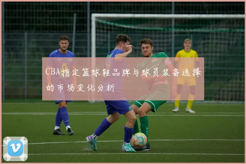 CBA指定篮球鞋品牌与球员装备选择的市场变化分析