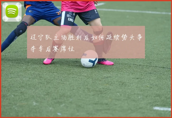 辽宁队主场胜利后如何延续势头争夺季后赛席位