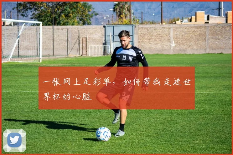 一张网上足彩单，如何带我走进世界杯的心脏