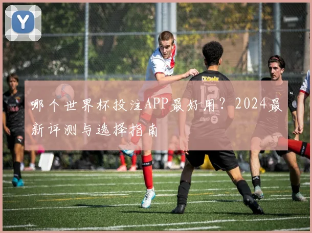 哪个世界杯投注APP最好用？2024最新评测与选择指南